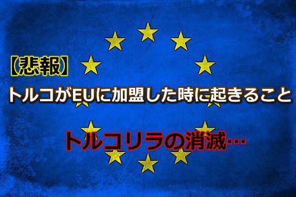 もしトルコがEUに加盟した時に起きること⇒トルコリラの消滅