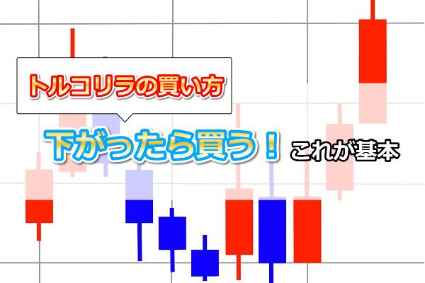 トルコリラは下がったら買う！これが基本