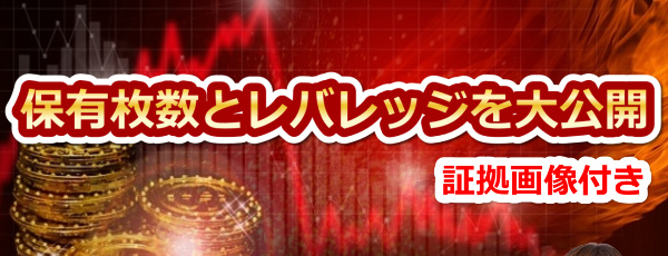 トルコリラ保有枚数とレバレッジを公開